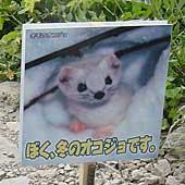 看板