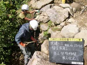 高山植物