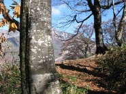 【素泊まり】気ままに行動★宿で待つのは白山温泉♪